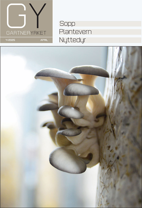 latest-magazine-cover