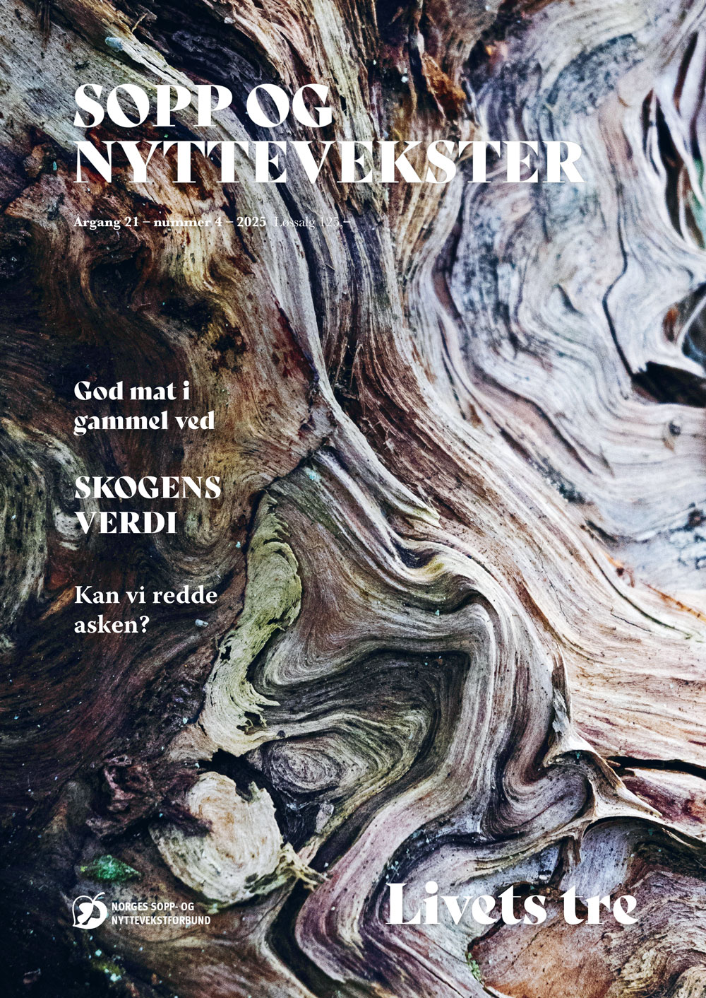 latest-magazine-cover