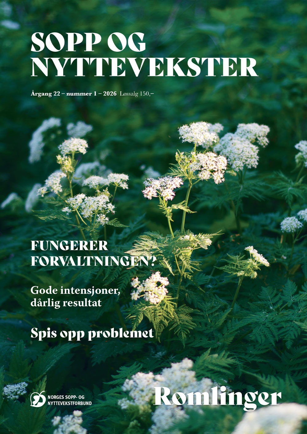 latest-magazine-cover