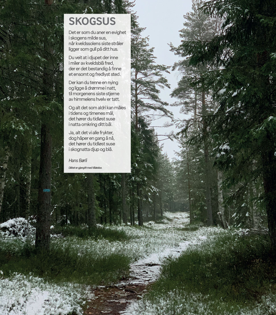 SKOGSUS